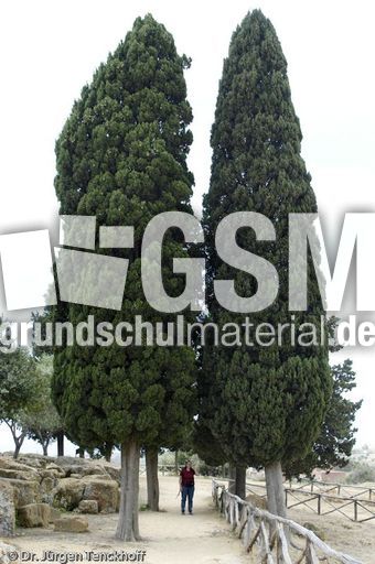 Sizilien (201 von 565).jpg